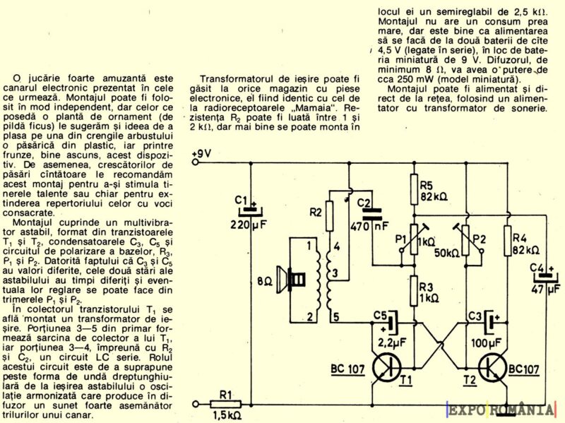 Cum faci canarul electronic