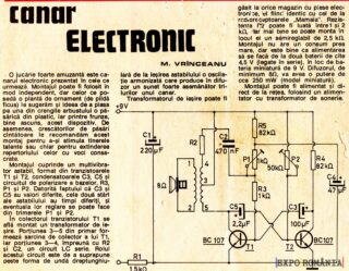 Cum faci canarul electronic