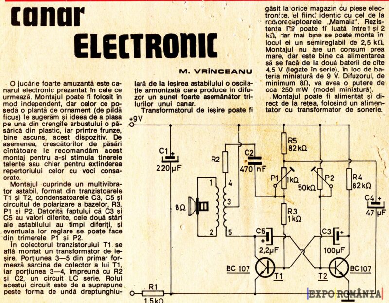 Cum faci canarul electronic