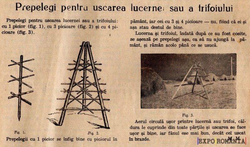 Cum faci prepelegi pentru uscarea fanului și lucernei