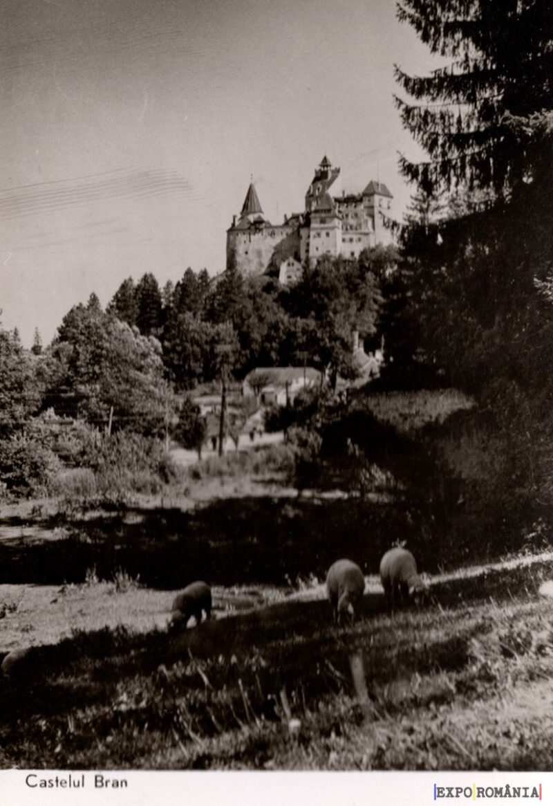 Castelul Bran în peisajul montan românesc