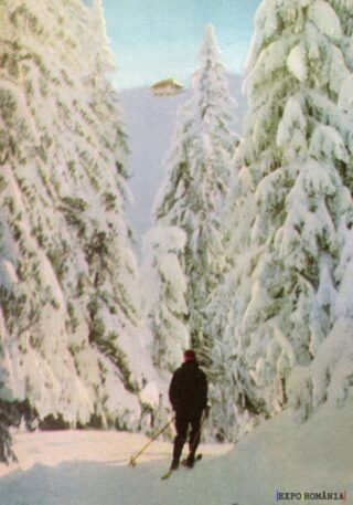 Peisaj de iarnă cu schior în pădure