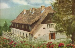 Casa de la marginea pădurii cu flori