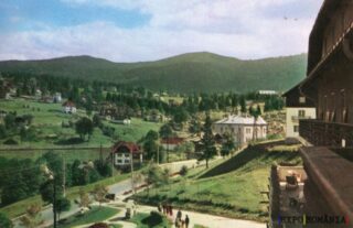 Peisaj montan idilic în natură verde