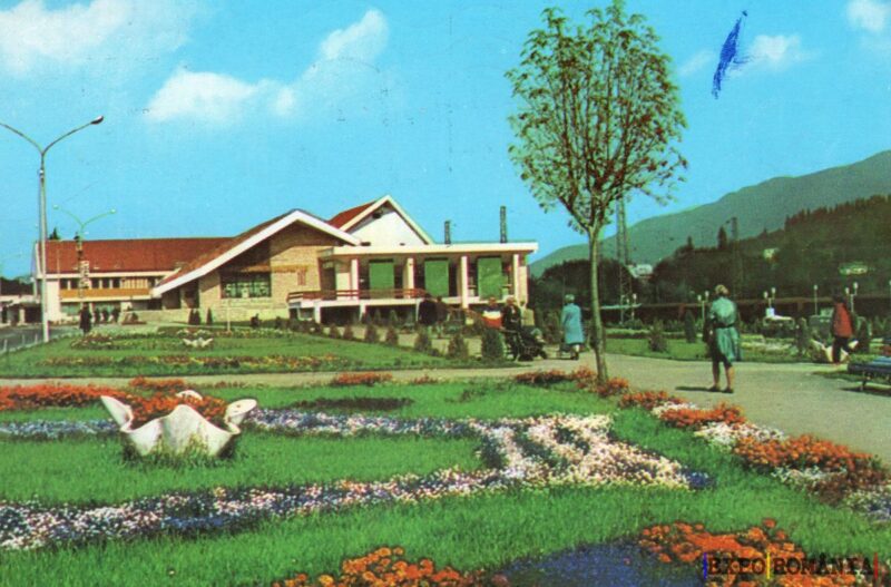 Peisaj de primăvară cu flori și natură