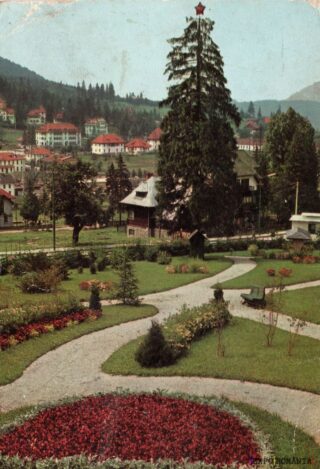 Peisaj de munte cu flori colorate