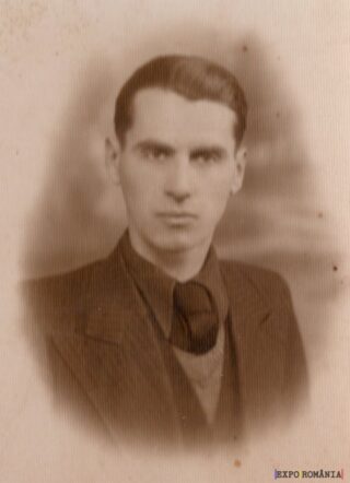 Portretul unui tânăr serios