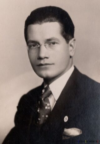 Portret elegant al unui bărbat serios