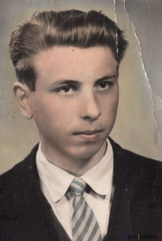 Portret clasic al unui tânăr serios