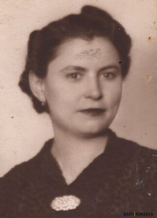 Portret vechi al unei femei elegante