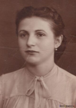 Portret clasic în sepia al unei doamne