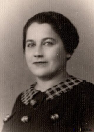 Portretul unei femei tinere