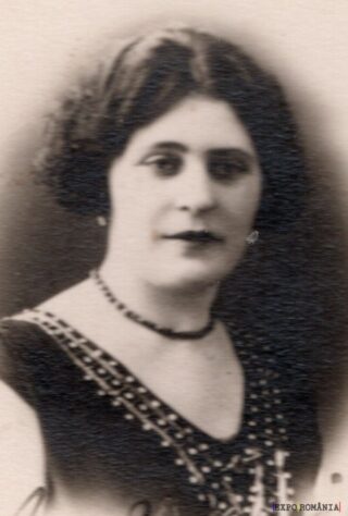 Portret vintage al unei doamne elegante