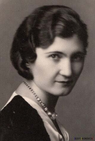 Portretul unei femei elegante din anii trecuți