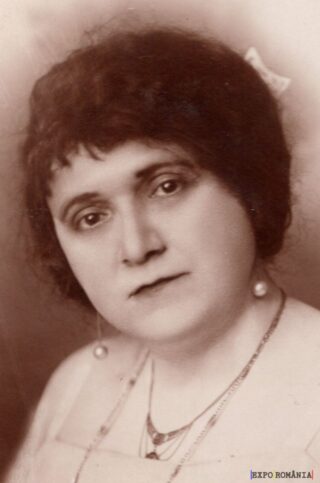 Portret vechi al unei doamne elegante