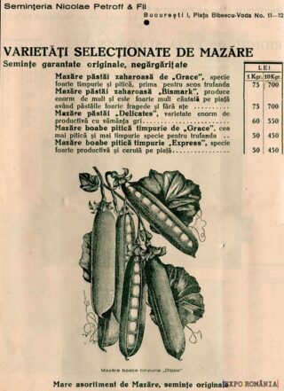 Varietăți de mazăre - Seminte originale și negocieri