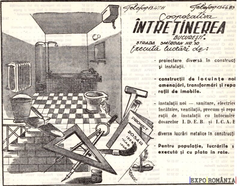 Servicii de întreținere și construcții în București