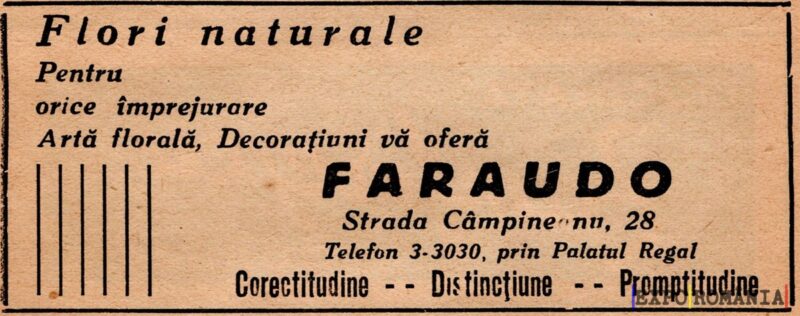 Servicii de aranjamente florale Faraudo