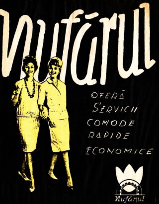 Servicii rapide și economice de la Nufărul