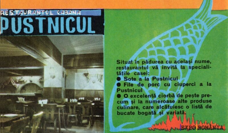 Restaurantul Cabana Pustnicul: Delicii în natură