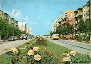 Peisaj urban cu flori și clădiri