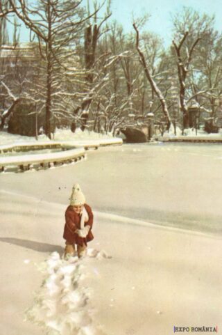 Iarnă magică într-un parc înghețat