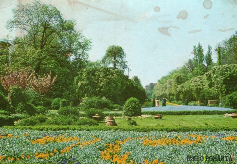 Grădină plină de flori și verdeață primăvăratică