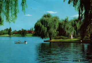 Peisaj idilic la lac cu bărci și copaci