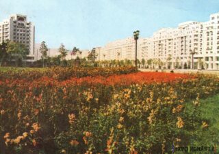 Peisaj urban cu flori colorate