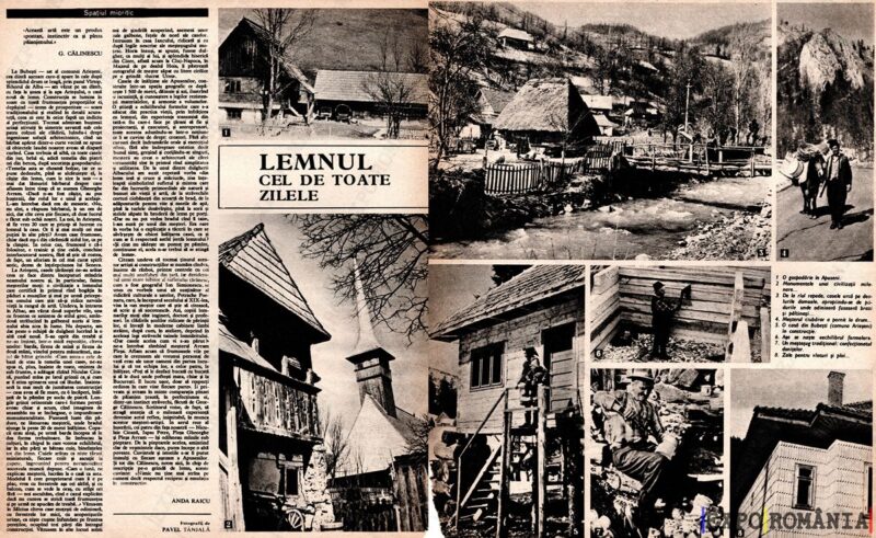 Lemnul cel de toate zilele