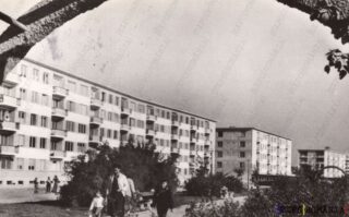 Carte poștală Braila Bulevardul Karl Marx - anii '60 - 05