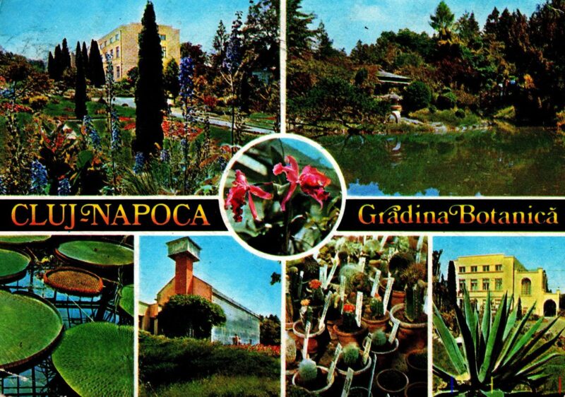 Carte poștală Cluj-Napoca Gradina Botanica - anii '70