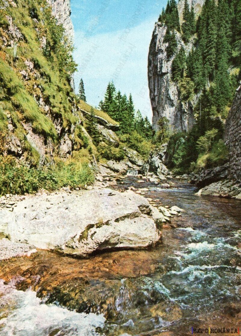 Carte poștală Moroeni Cheile Tatarului - anii '60