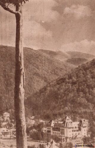 Carte poștală Busteni - anii '60 - 06