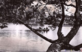 Carte poștală Campina Cu Barca pe Lacul Central - anii '60