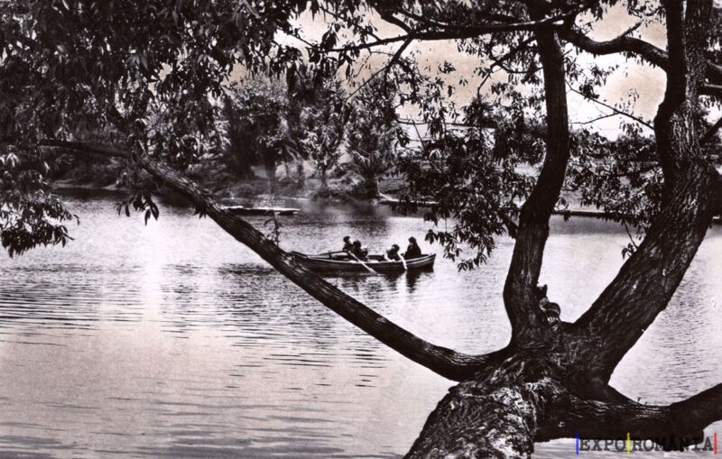 Carte poștală Campina Cu Barca pe Lacul Central - anii '60