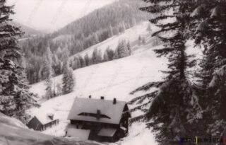 Carte poștală Muntii Bucegi Cabana Diham - anii '60 - 02