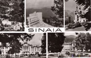 Carte poștală Sinaia - anii '60 - 03