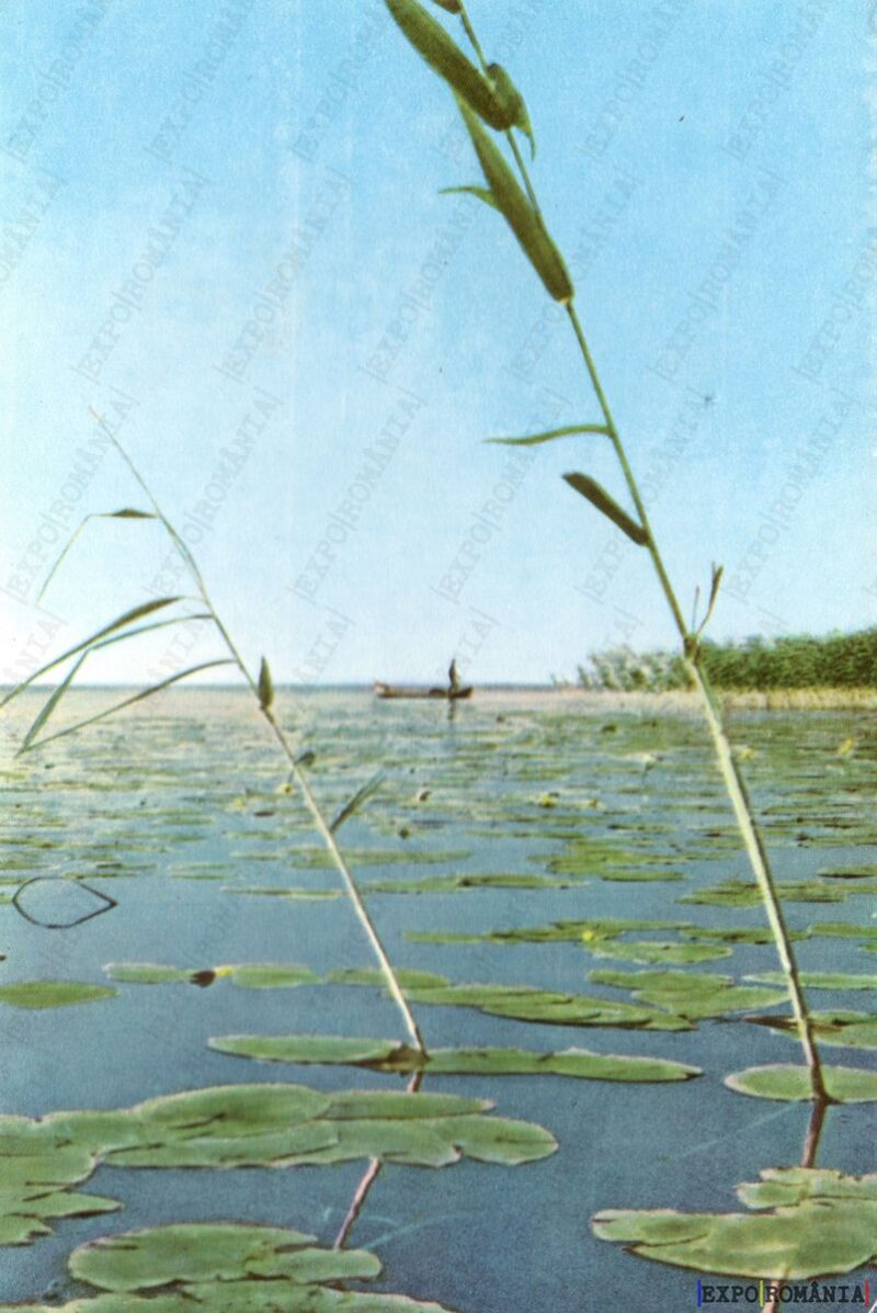 Carte poștală Delta Dunarii - anii '70 - 02