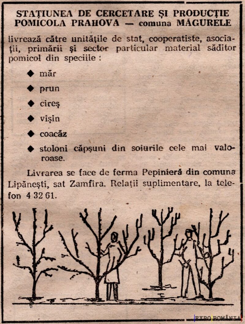 Cercetare și producție pomicolă în Prahova