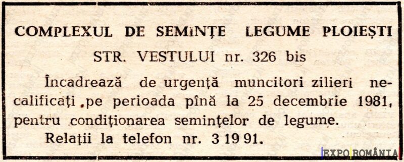 Angajări la Complexul de Semințe Legume Ploiești