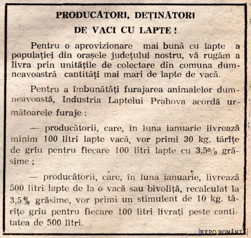 Producție de lapte și oferte pentru fermieri