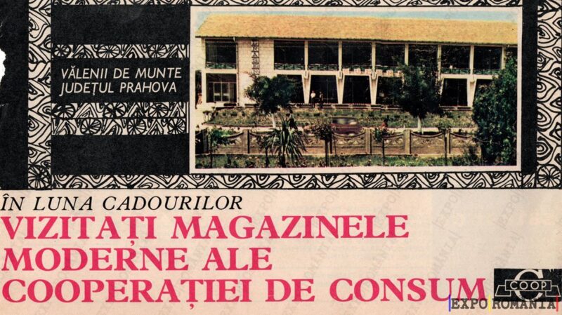 Magazine moderne în Vălenii de Munte