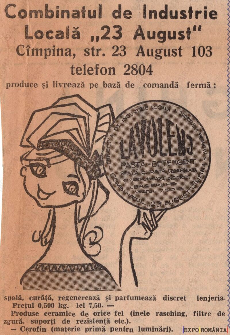 Servicii de spălătorie și produse ceramice în Câmpina