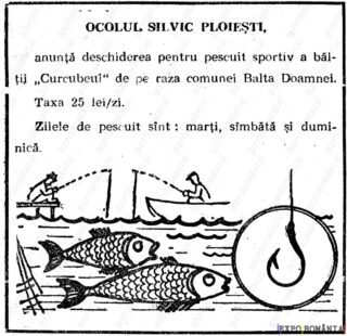 Pescuit sportiv la balta Curcubeul