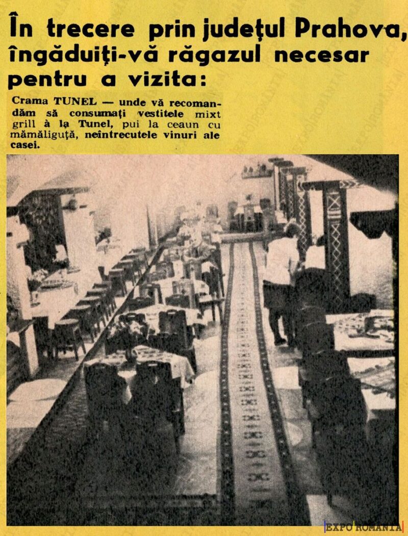 Descoperă Crama TUNEL din județul Prahova