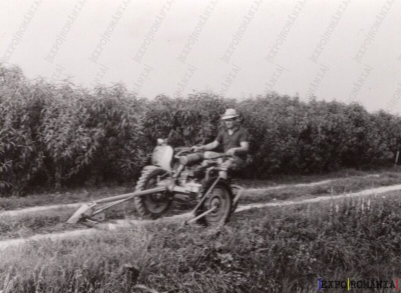 Brigadier cu Moto Sapa în Plantație - Anii '60