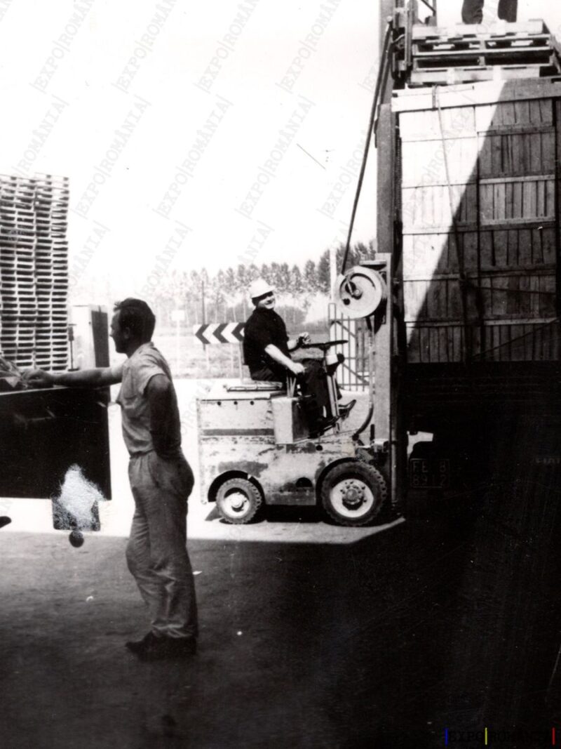 Muncitori Pepinieră - Anii '60