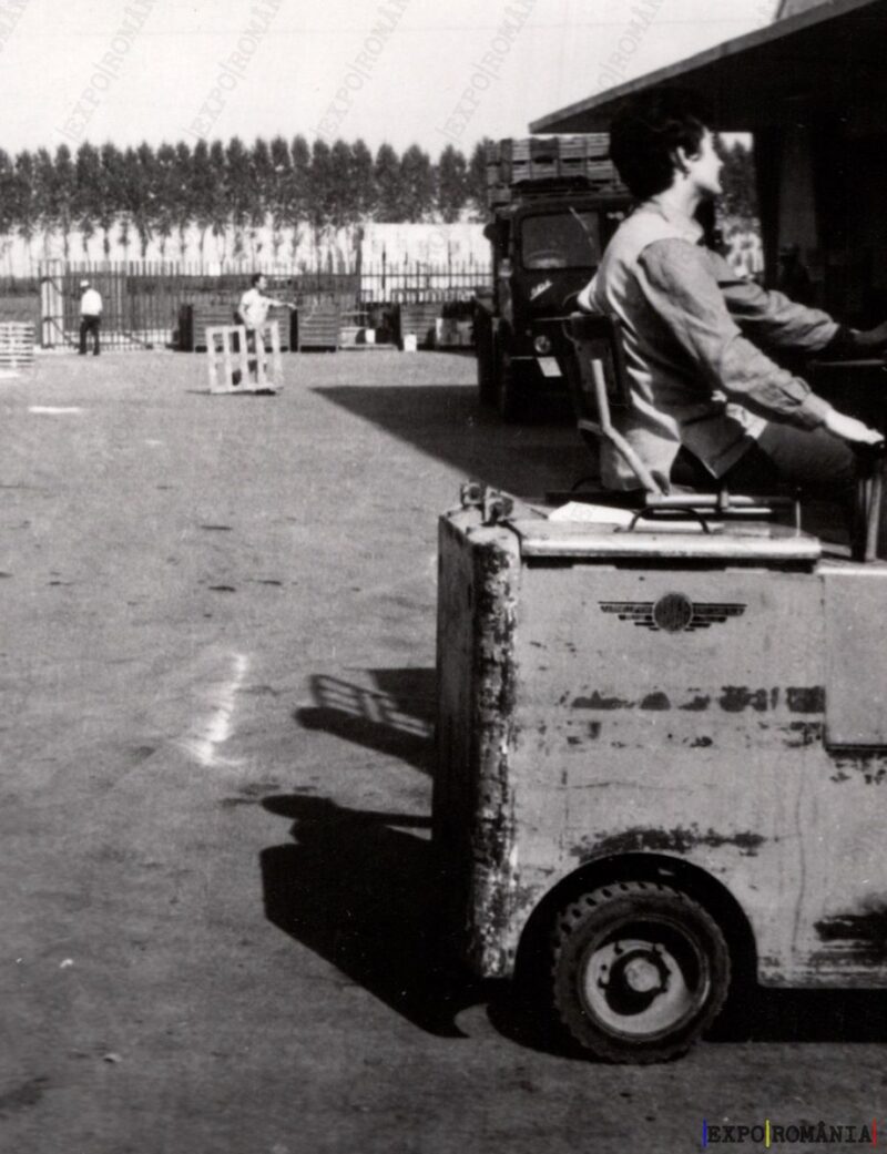 Depozit de Plante - Anii '70