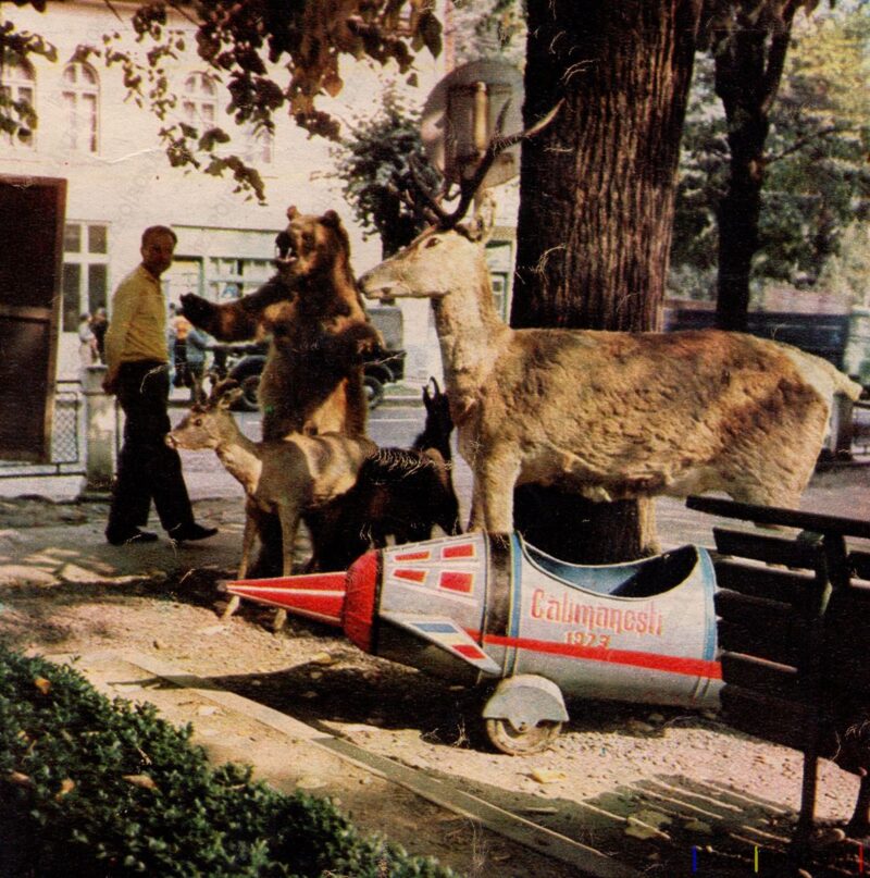 Vâlcea Călimănești Loc de Făcut Fotografii - Anii '70